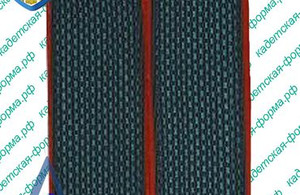 Погоны-1