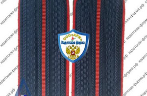 погоны-21