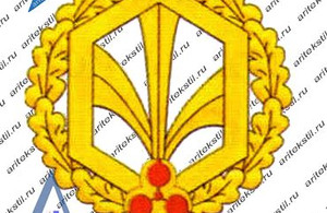 6-радиационные-войска