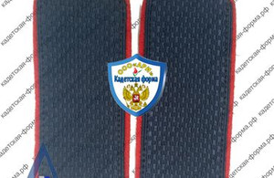 погоны-20