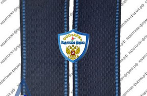погоны-18