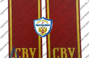 погоны-9