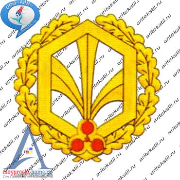 радиационные-войска